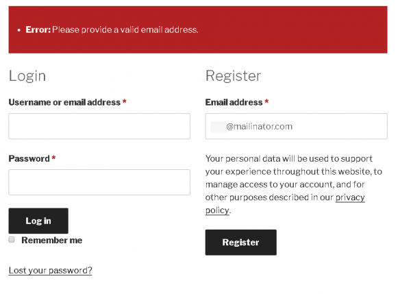 Example output for WooCommerce registration form